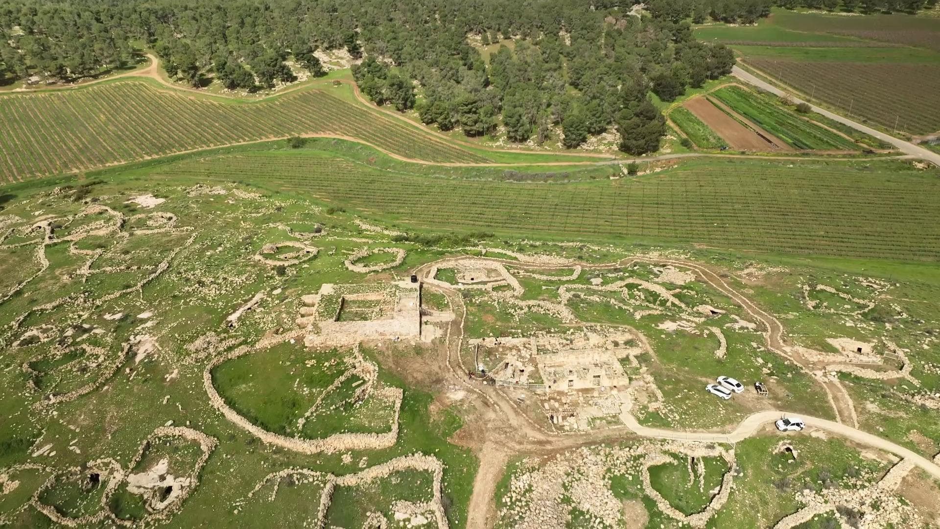 Археологи нашли в Израиле 1200-летний кувшин с «крылатым верблюдом»