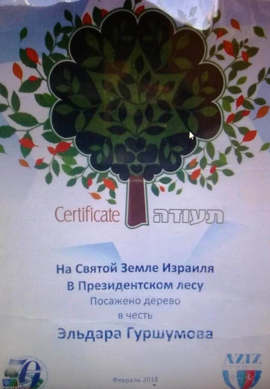 Онлайн-конференция к 80-летию Эльдара Гуршумова