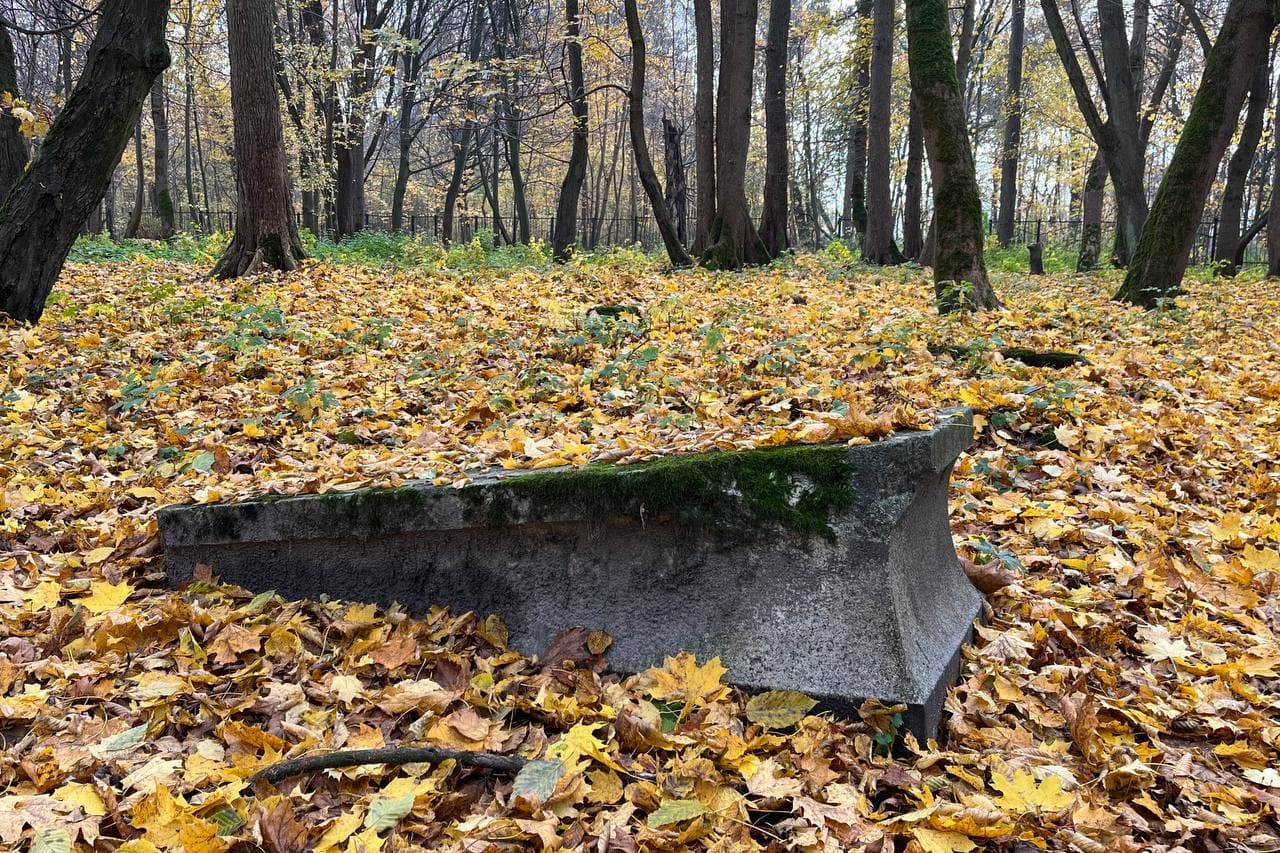 «Осколки памяти»: как изменилось и каким будет старое еврейское кладбище в Калининграде