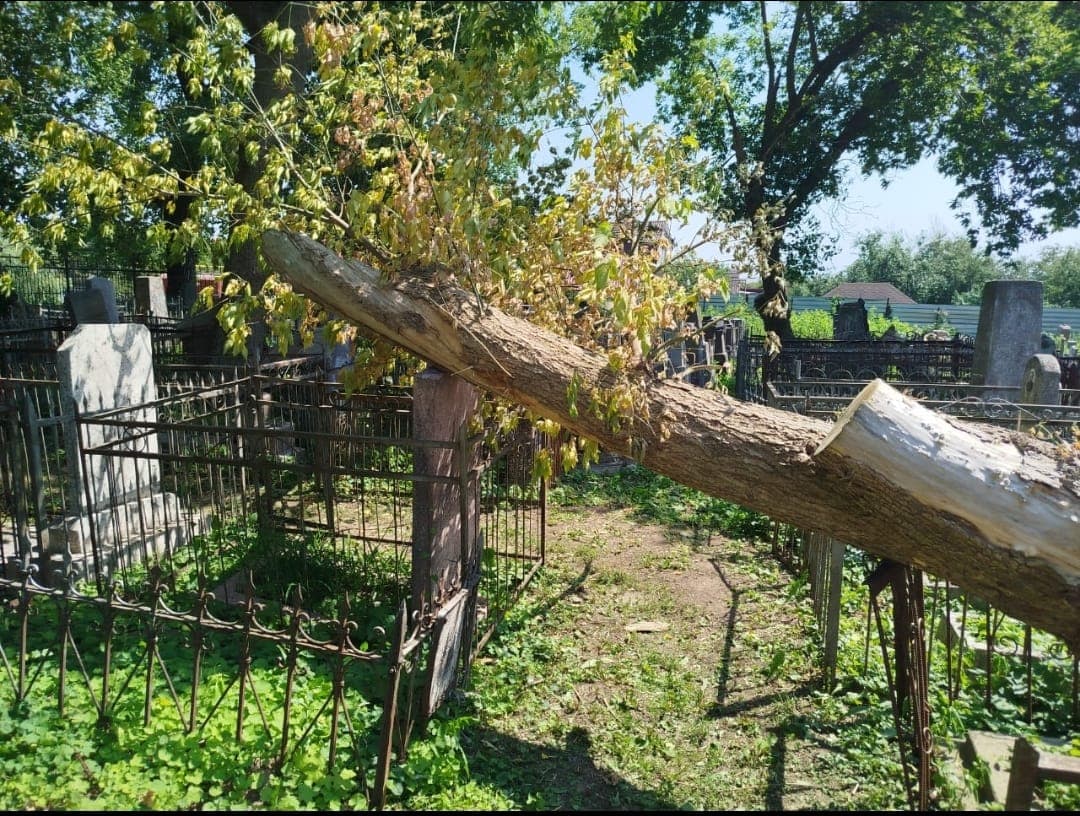 Активисты общины произвели уборку на еврейских кладбищах Курска