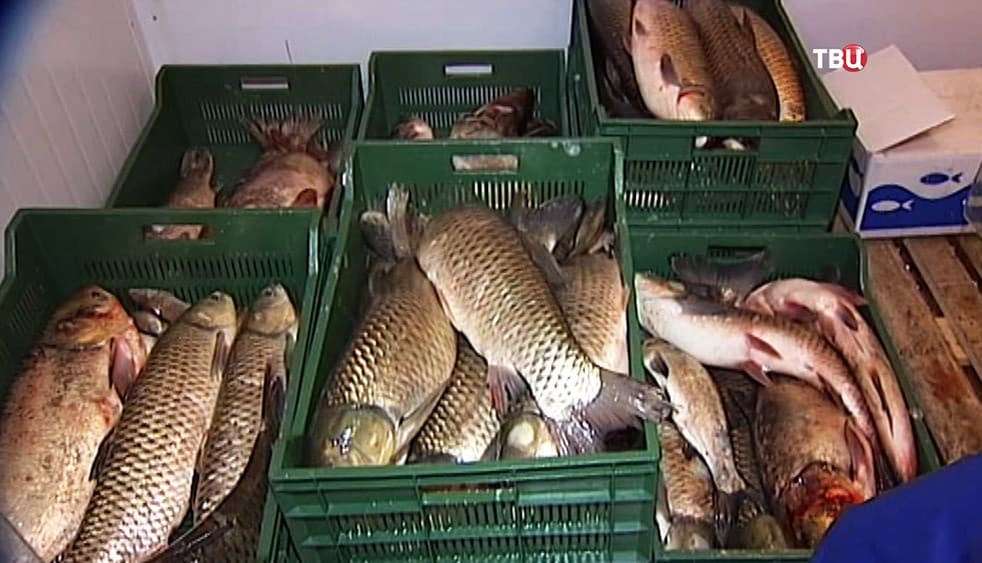 Цивилизованную торговлю продуктами в Москве обеспечат агрокластеры