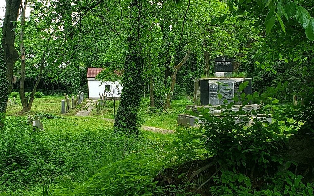 Еврейские кладбища Польши уничтожили поляки, а не нацисты