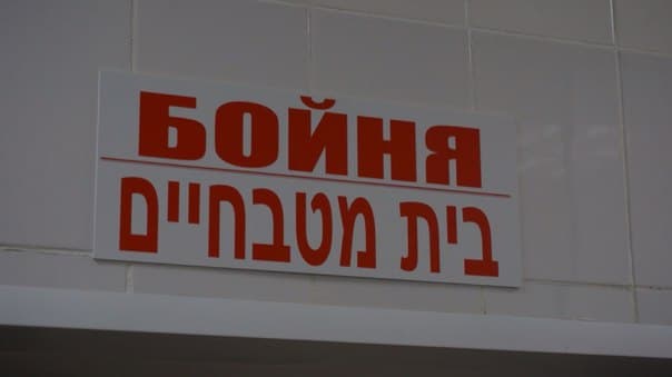 Общинный центр «Бейт-Сфаради» открыл новый кошерный магазин