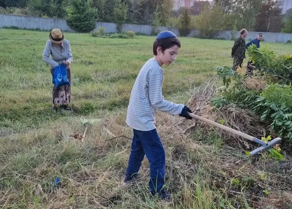 Волонтеры убрали старую часть Еврейского кладбища в Могилеве