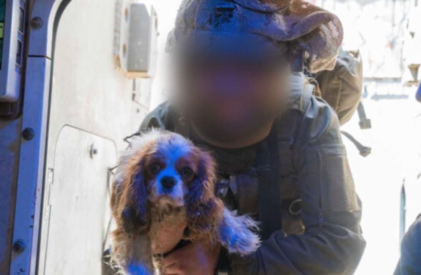 Бойцы «Голани» нашли в Газе собаку, похищенную вместе с хозяевами в Нир-Озе 7 октября