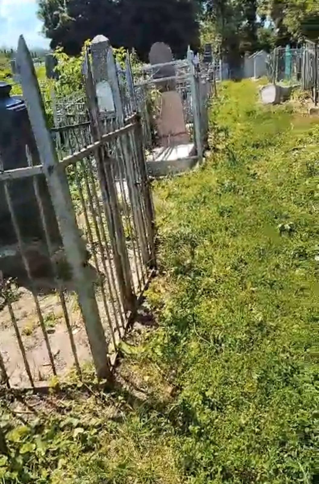 Активисты общины произвели уборку на еврейских кладбищах Курска