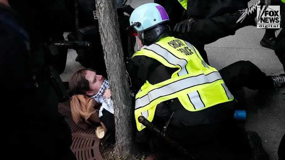 В Чикаго протестующие сожгли израильский флаг и пытались штурмовать консульство Израиля