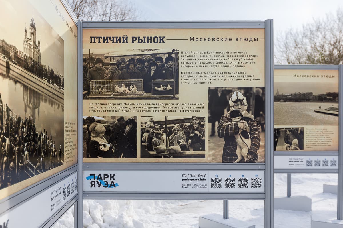 «Московские этюды»: фотовыставка с еврейской душой