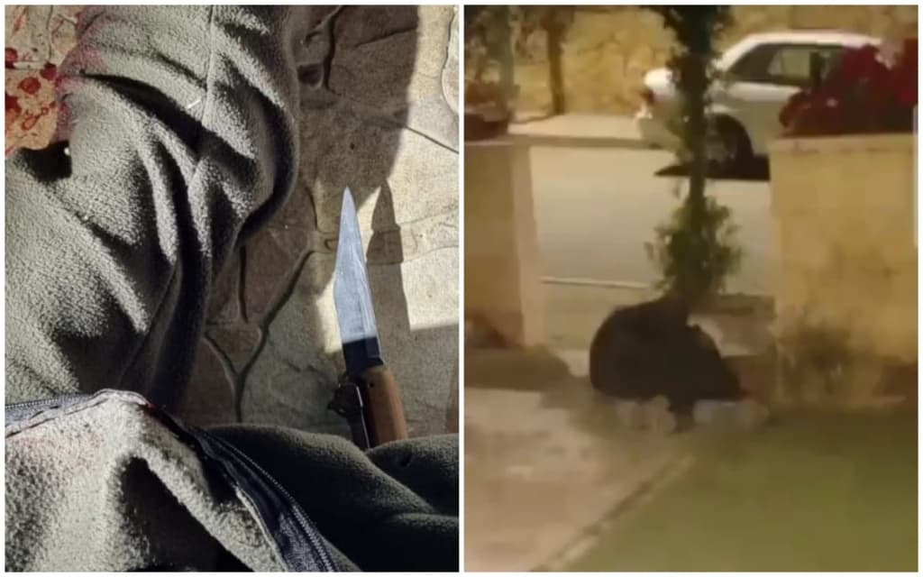 Попивая кофе в ожидании нового террориста: житель Ткоа рассказал о встрече со злоумышленником