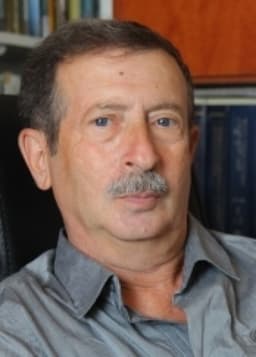 Владимир Месамед