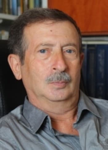 Владимир Месамед