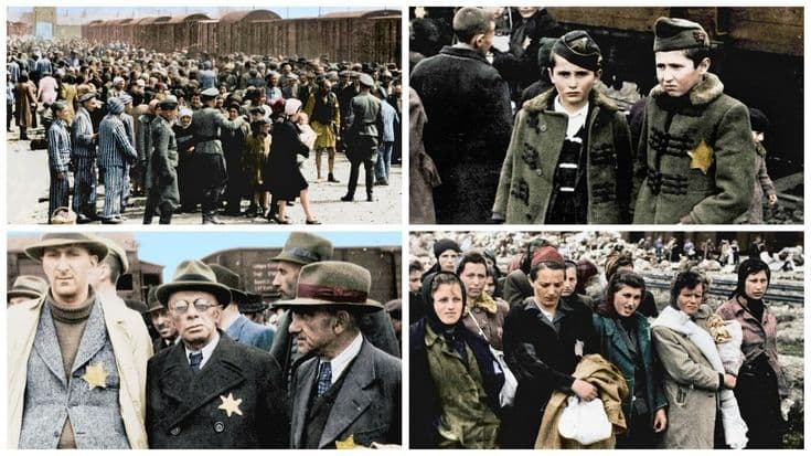 Яна Любарская готовит новую книгу, посвященную Второй мировой войне и Холокосту