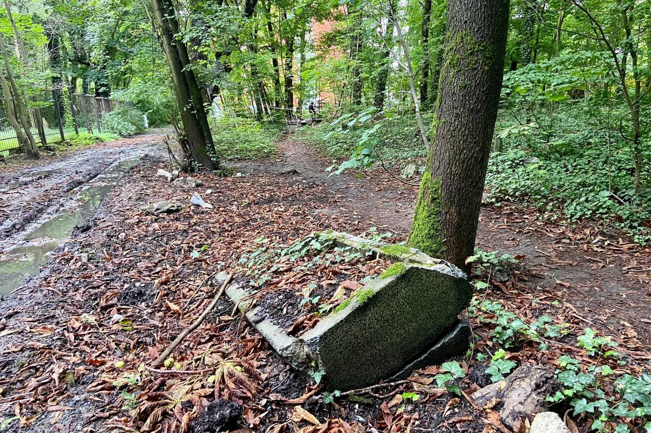 В Калининграде на участке под строительство рядом с еврейским кладбищем нашли кости и надгробия XIX века